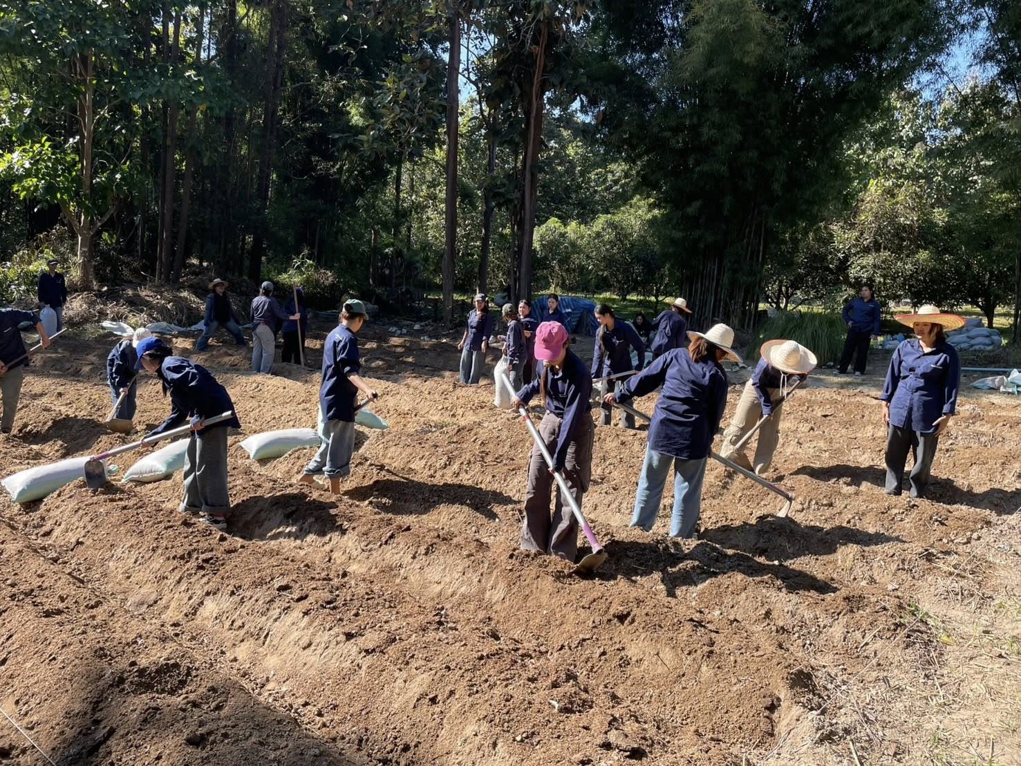 นักศึกษาสาขาวิชาเศรษฐศาสตร์เกษตรและสิ่งแวดล้อม ได้นำองค์ความรู้จากห้องเรียนมาประยุกต์ใช้สู่การปฏิบัติจริง